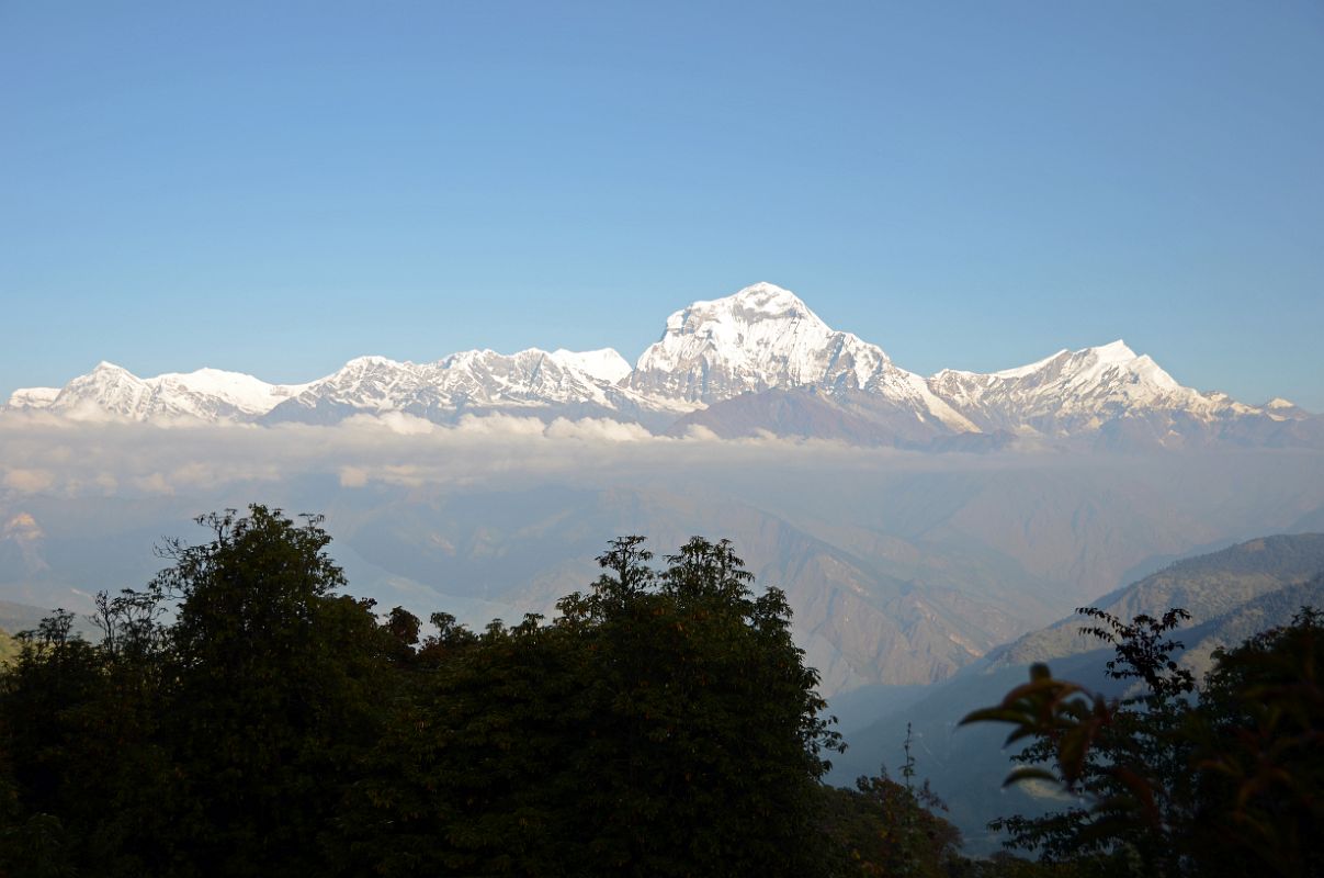 02 Dhaulagiri Himal and Tukuche Peak Just After Leaving Ghorepani On Trek To Chomrong 